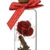 rose message bottle | gifts for boyfriend girlfriend birthday anniversary valentine's day (1 unit)