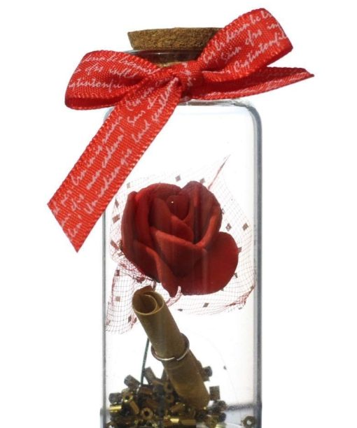 rose message bottle | gifts for boyfriend girlfriend birthday anniversary valentine's day (1 unit)