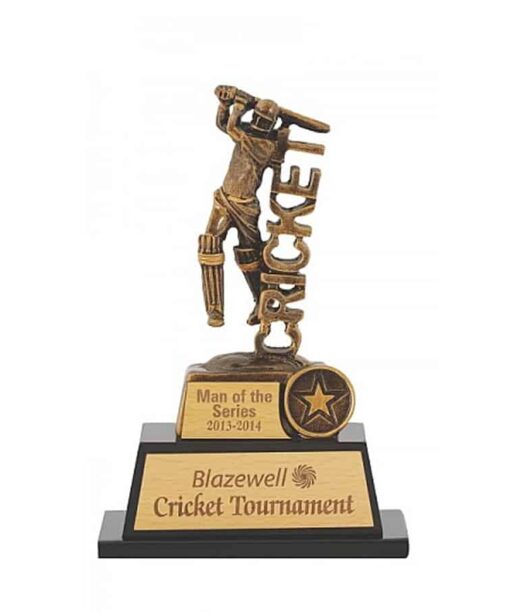 Customized Trophy Awards | Personalized Trophies Online