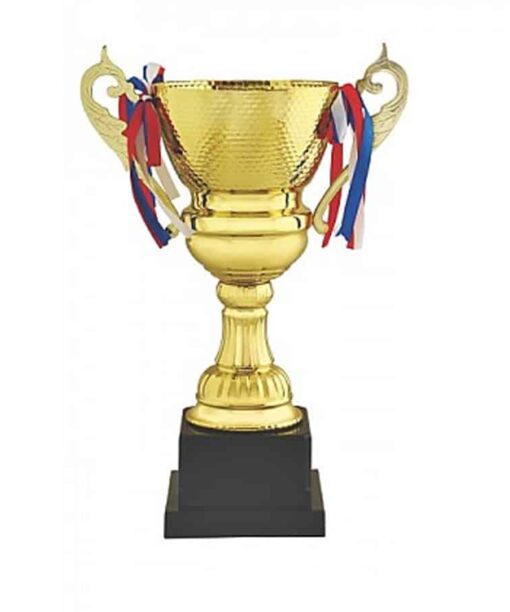 Customized Trophy Awards | Personalized Trophies Online