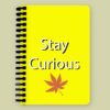 stay curious front