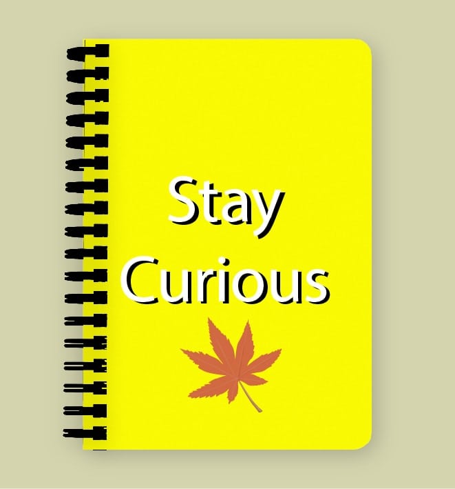 stay curious front