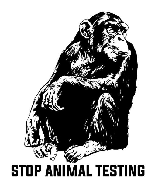 stop testing animals a