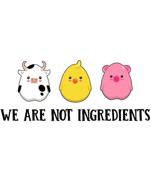 we are not ingredients d