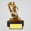 gold & wooden trophy pmg (r series) r 25 pmg