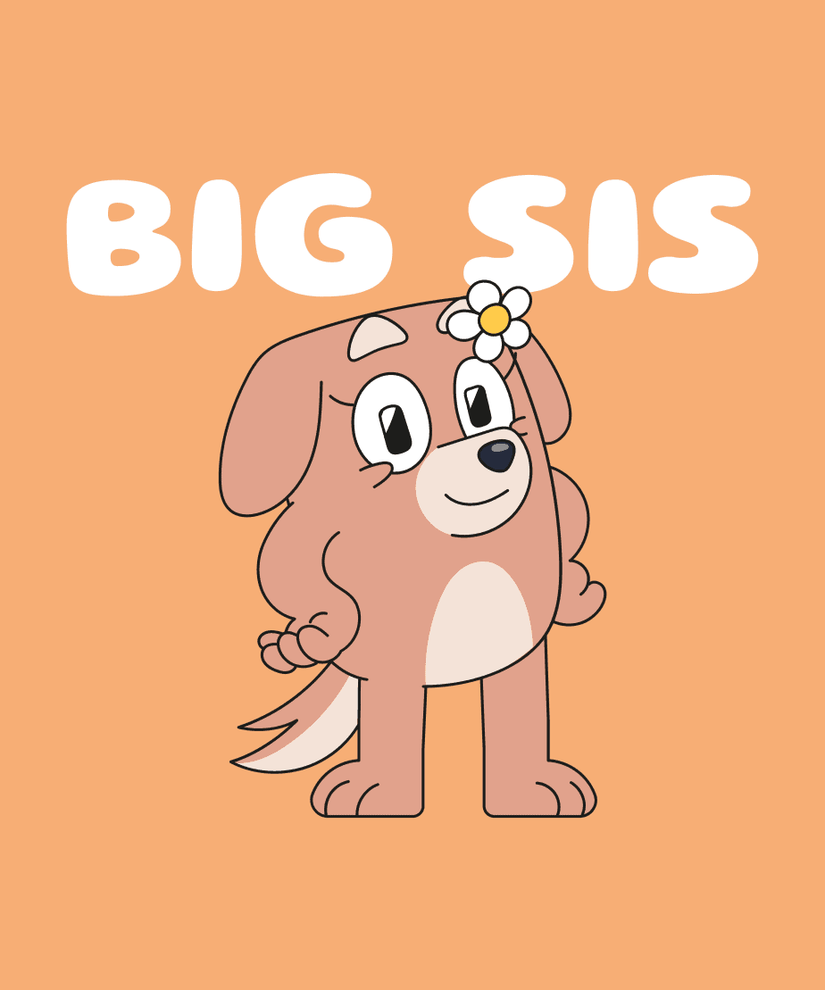 big sis round neck 100% cotton t shirt