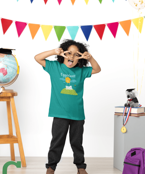 eggcelent round neck 100% cotton t shirt for kids