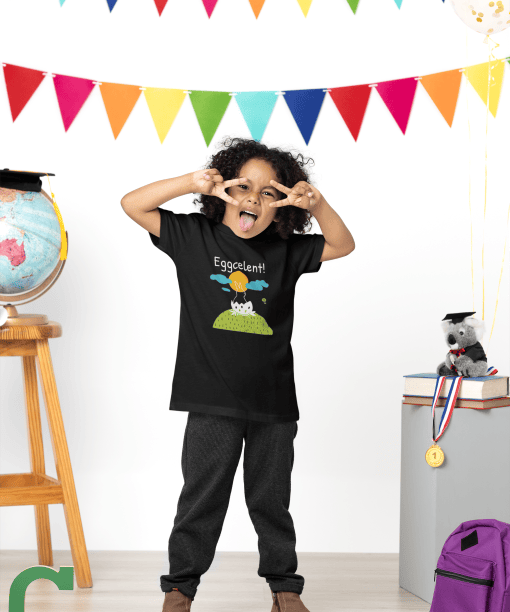 eggcelent round neck 100% cotton t shirt for kids