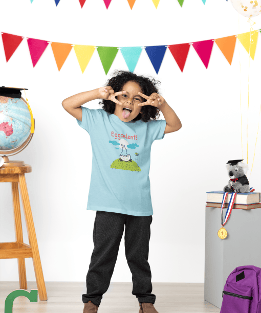 eggcelent round neck 100% cotton t shirt for kids