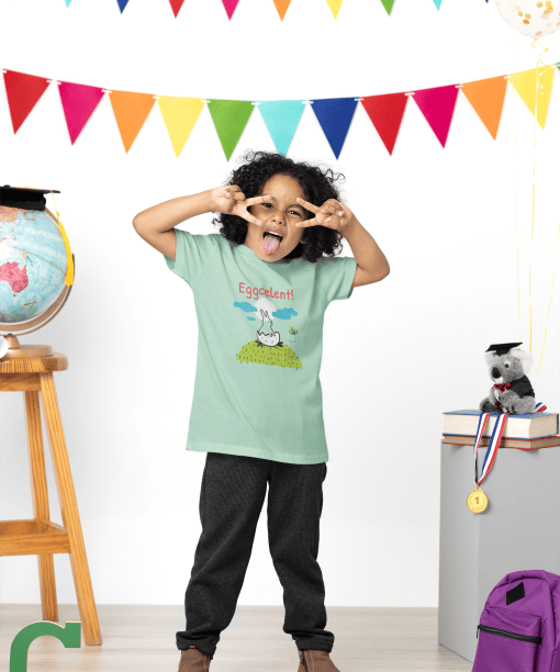 eggcelent round neck 100% cotton t shirt for kids