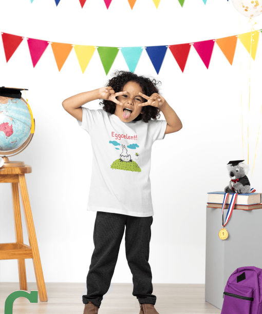 eggcelent round neck 100% cotton t shirt for kids